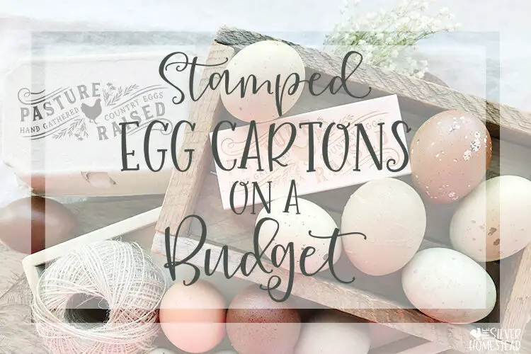 Stamped Egg Cartons on a Budget