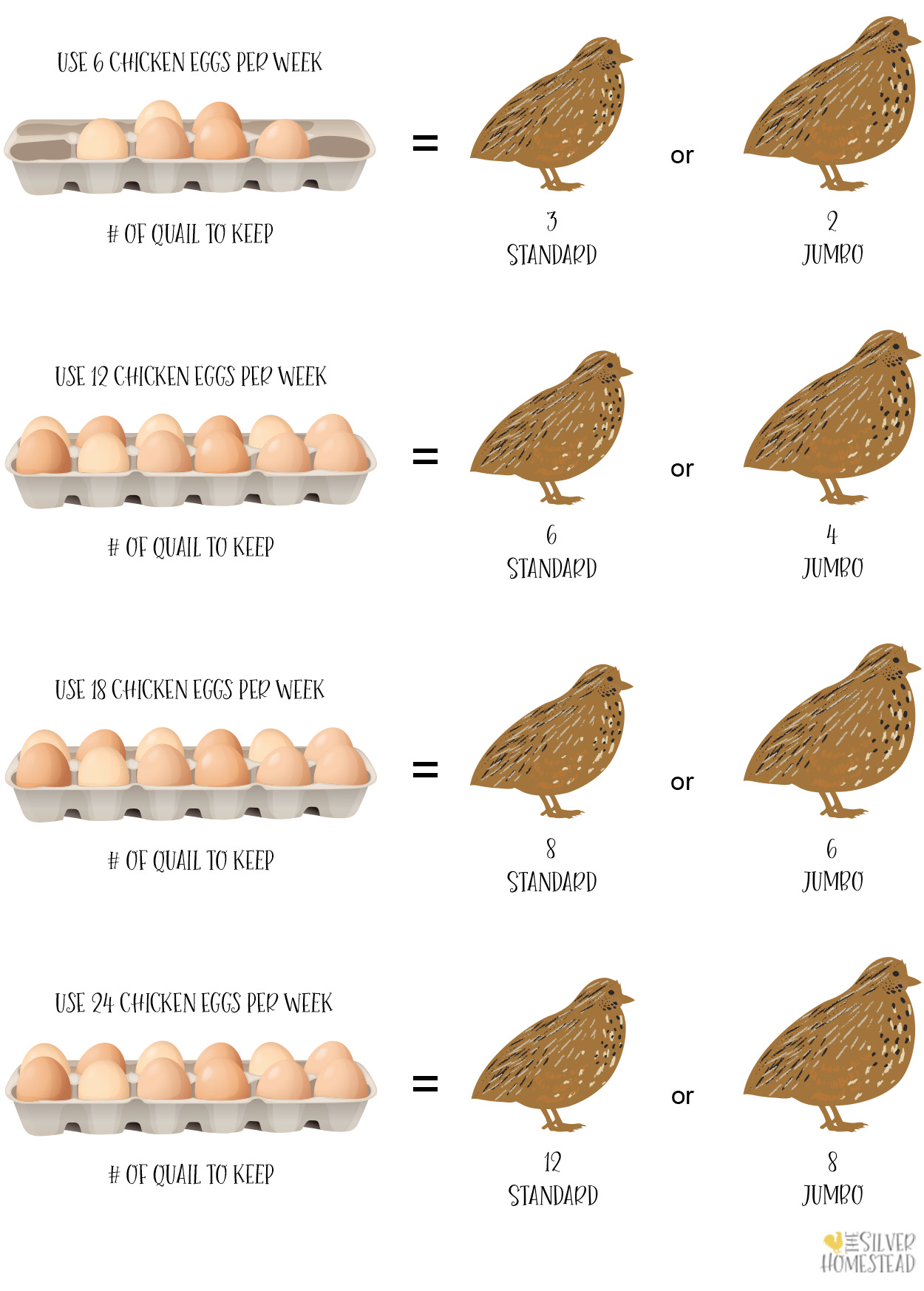 How Many Quail Does My Family Need? - Silver Homestead