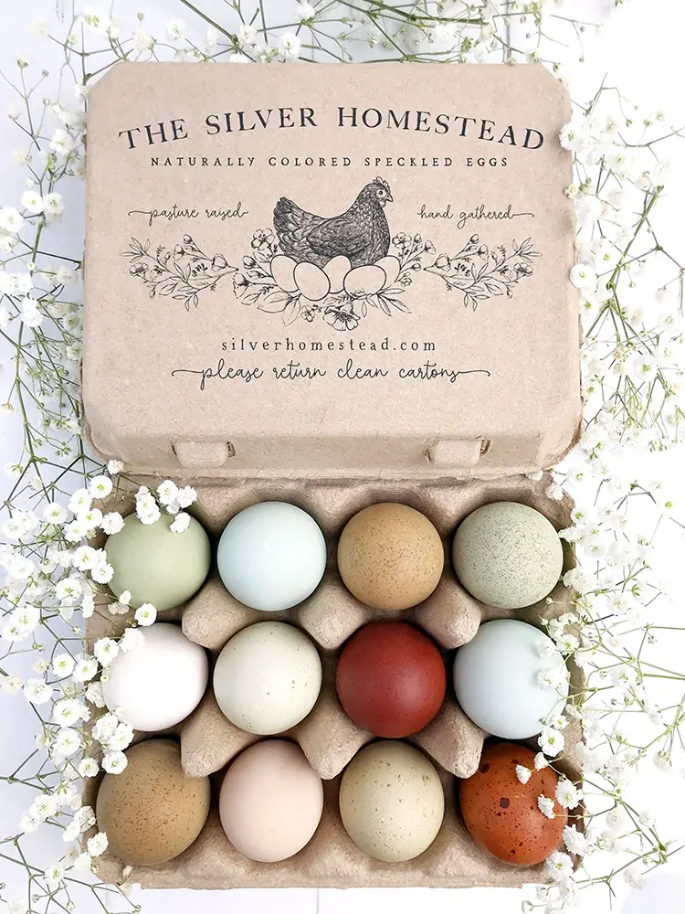 speckled olive eggs vintage square henlay egg carton stamp stamped