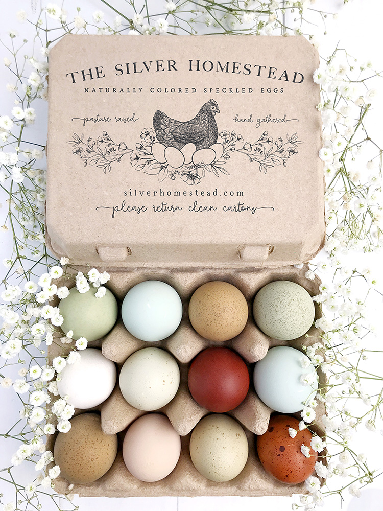 Stamped Egg Cartons - Silver Homestead