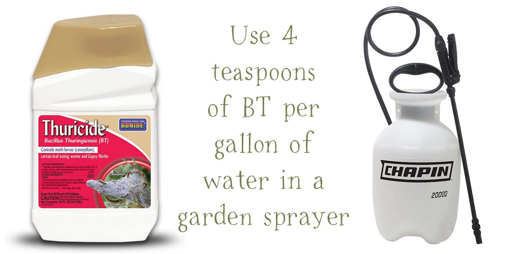 use 4 teaspoons of BT per gallon of water in a garden sprayer