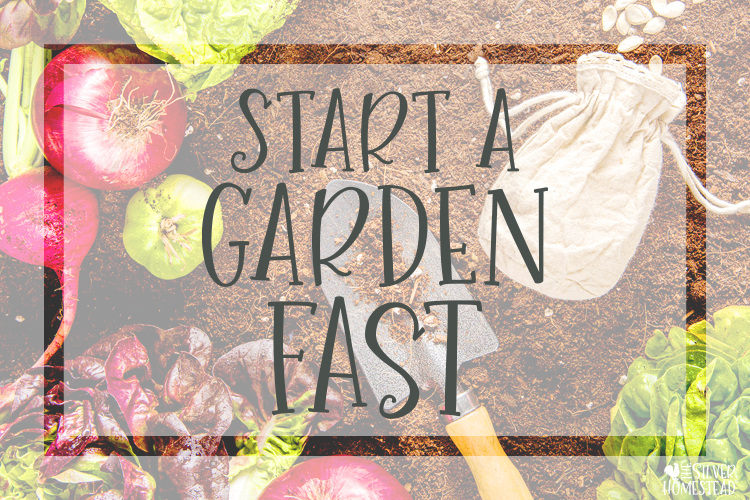 Start a Garden Fast