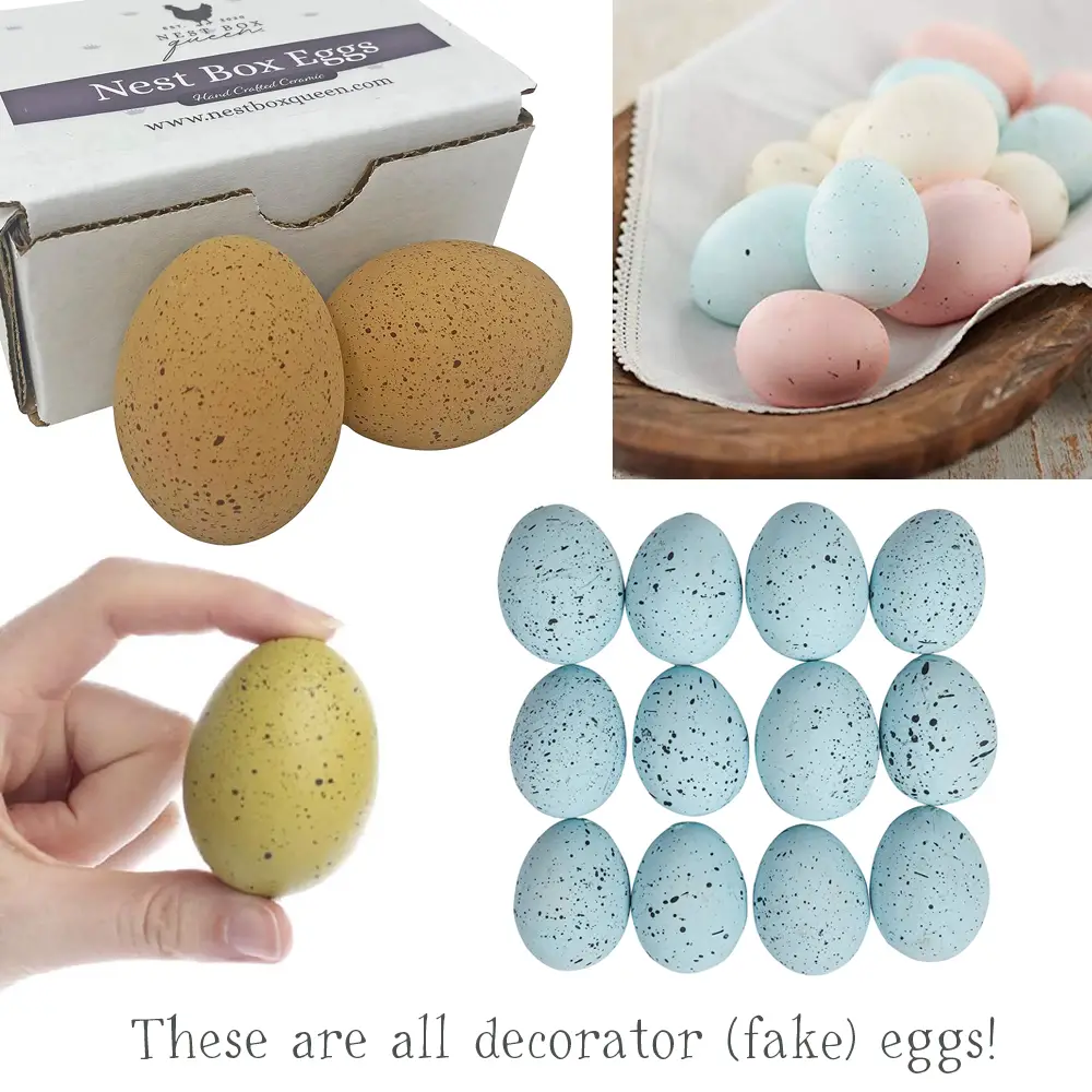 different speckled brown, blue, pink and olive green eggs shown to help you Avoid Hatching Egg Scams