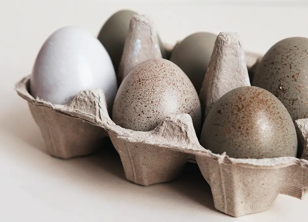 speckled gray decorator eggs in a carton shown to help you avoid hatching egg scams