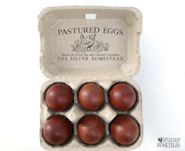 Dark chocolate Black Copper Marans breed eggs in a stamped carton that reads Pastured Eggs Raised on fresh air and country sunshine the Silver Homestead