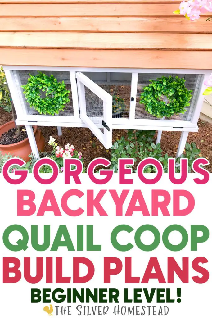 Building plans to build your own backyard coturnix quail coop hutch pen aviary white cottage farmhouse syle homestead