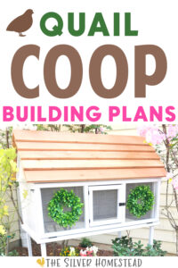 Coturnix quail coop building plans backyard hutch aviary pen HOA PDF plan build DIY yourself 