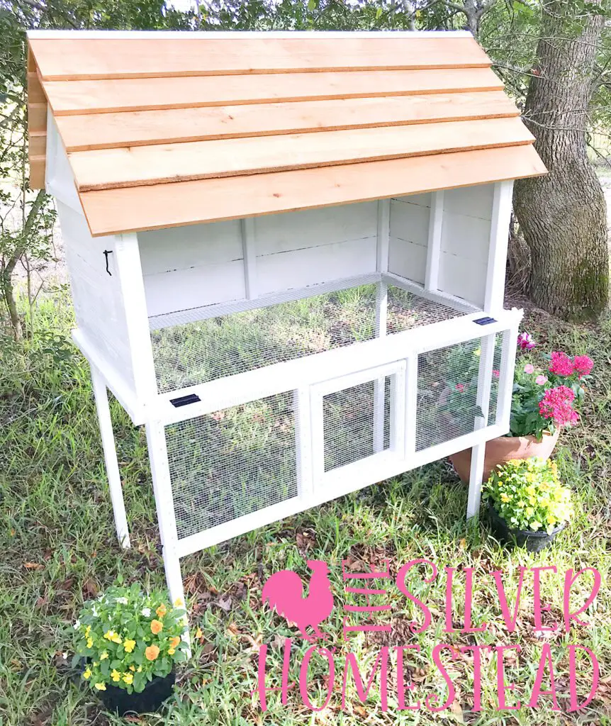 Building plans for White coturnix quail cottage coop for jumbo standard celadon backyard quail keeping hutch aviary pen for fresh eggs