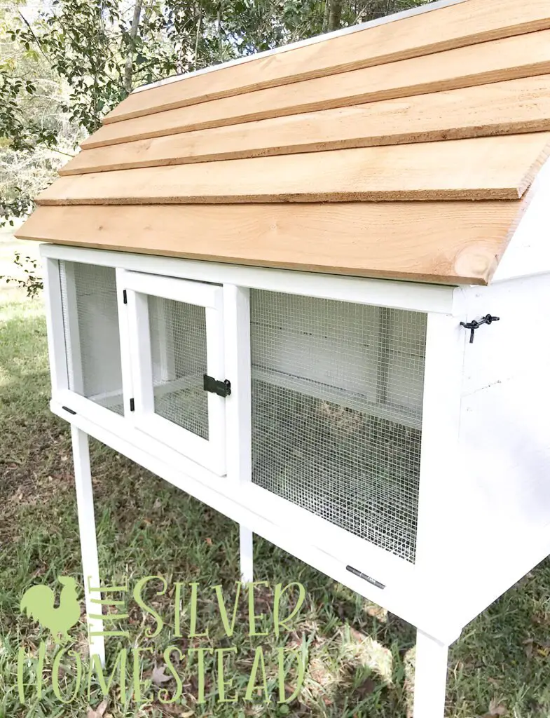Building plans for White coturnix quail cottage coop for jumbo standard celadon backyard quail keeping hutch aviary pen for fresh eggs