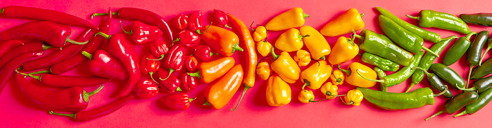 red, yellow, orange and green hot peppers on pink background