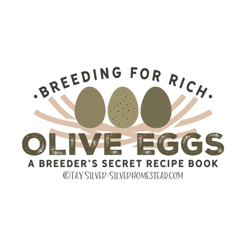 Breeding for Rich Olive Eggs - PDF