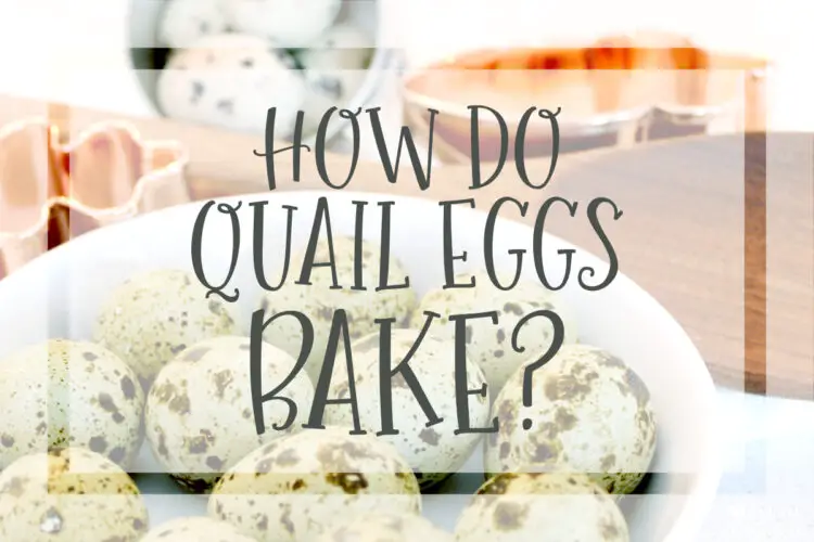 How Do Quail Eggs Bake