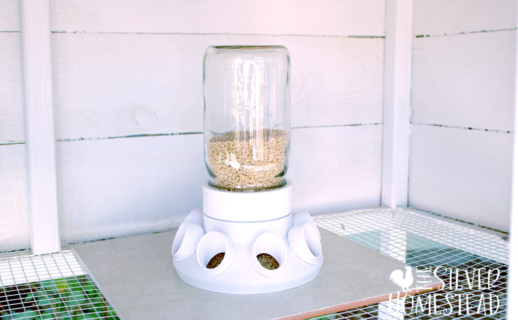 No Waste coturnix Quail Feeders that Work 1 gallon bucket with 3D printed white feed port holes