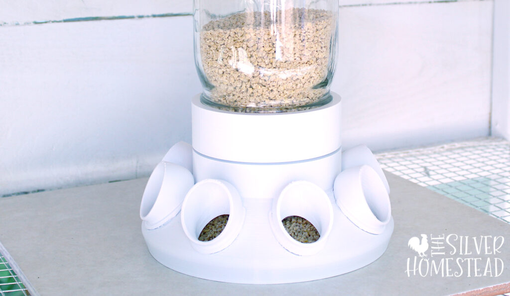 No Waste coturnix Quail Feeders that Work 1 gallon bucket with 3D printed white feed port holes