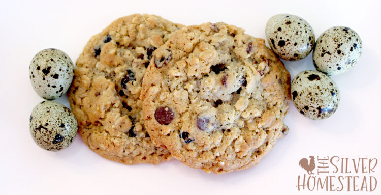 chocolate chip cookies made with Coturnix quail eggs