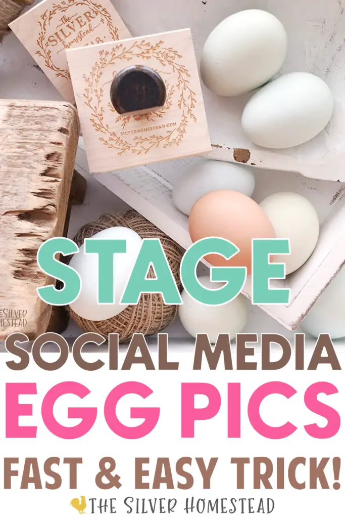Stage Social Media Pictures Fast sell backyard chicken hatching eggs colored egg layers easter egger speckled olive egger custom egg carton stamps egg colors