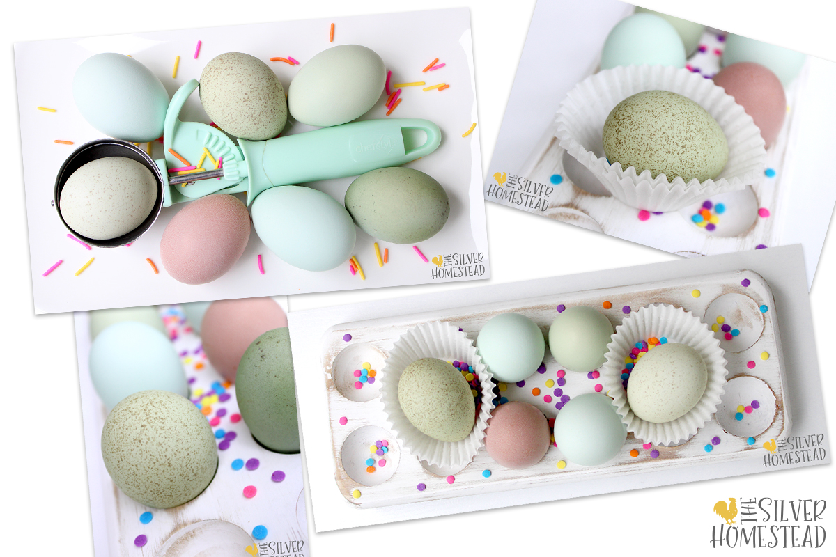 a 4 picture collage of blue, speckled green and pink easter egger eggs shown with ice cream scoops, white cupcake wrappers, displayed in a white tray and with lots of candy sprinkles