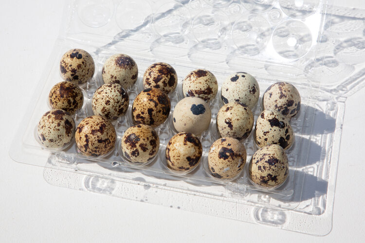 a clear plastic carton holding 18 coturnix quail hatching eggs