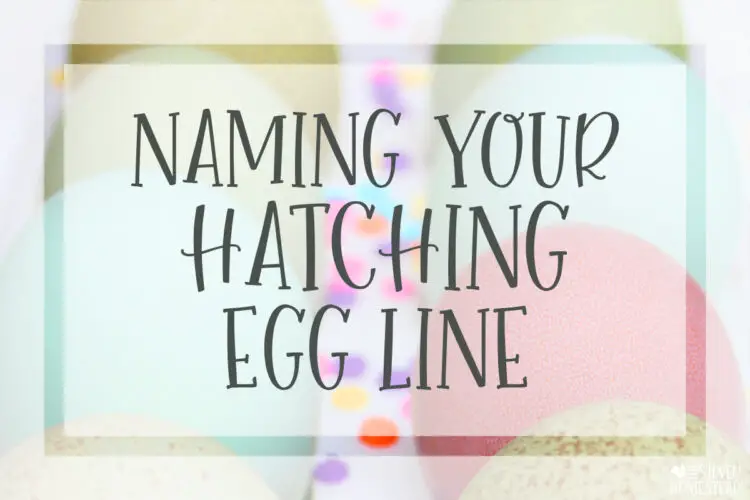 Naming Your Hatching Egg Line