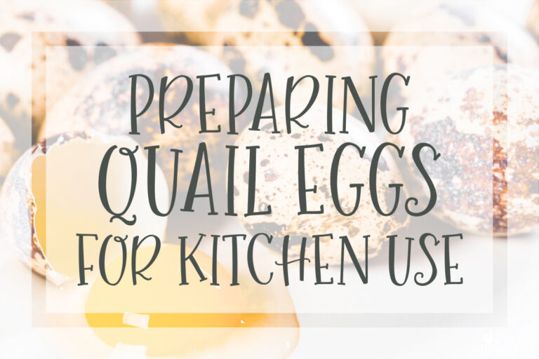 Quail Eggs for Kitchen Use