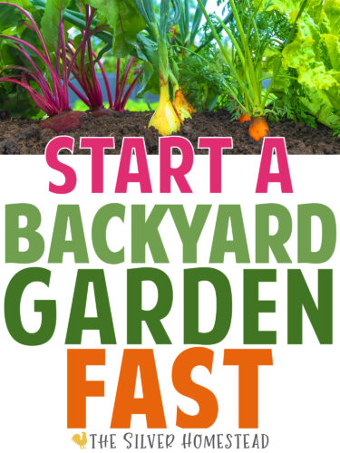 how to start a backyard vegetable veggie herb garden fast instantly weekend beginner gardening help victory emergency food grow your own 