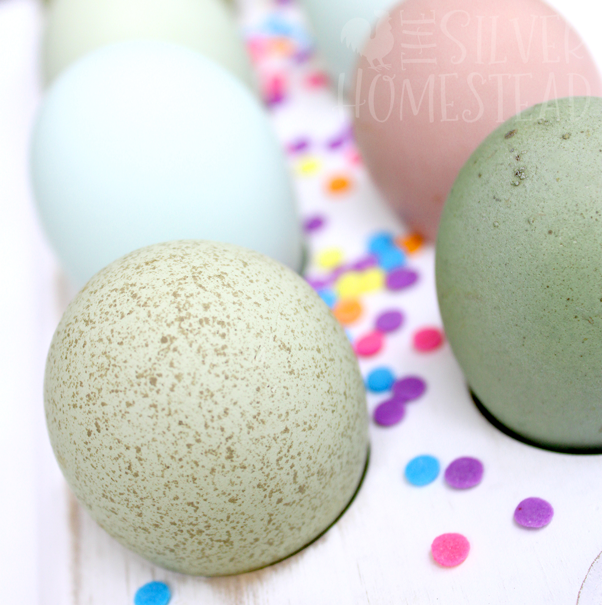 a white tray with candy sprinkles and blue, speckled green and pink eggs in a close up shot with a translucent watermark logo for the Silver Homestead
