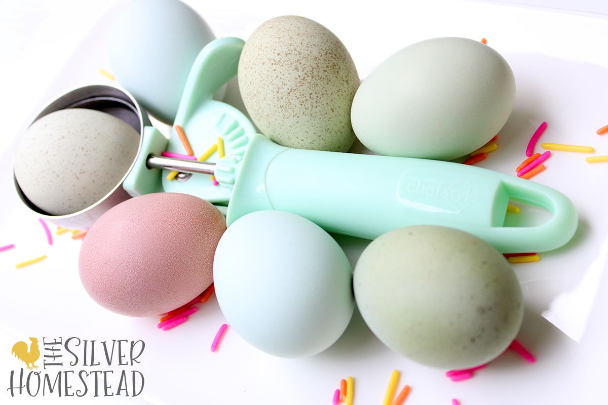 ice cream egger easter egger eggs with pink, orange and yellow confetti candy sprinkles and a mint chip ice cream scoop blue green pink speckled easter eggs on white