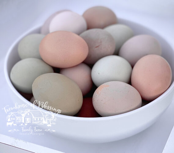 different colored rainbow chicken eggs in a white ceramic bowl