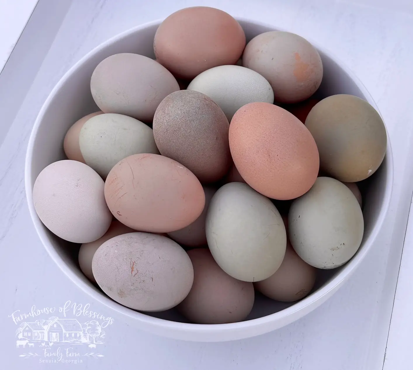 pink purple lavender purplish gray grey silver mist and other smoky hues of rainbow chicken eggs in a white bowl