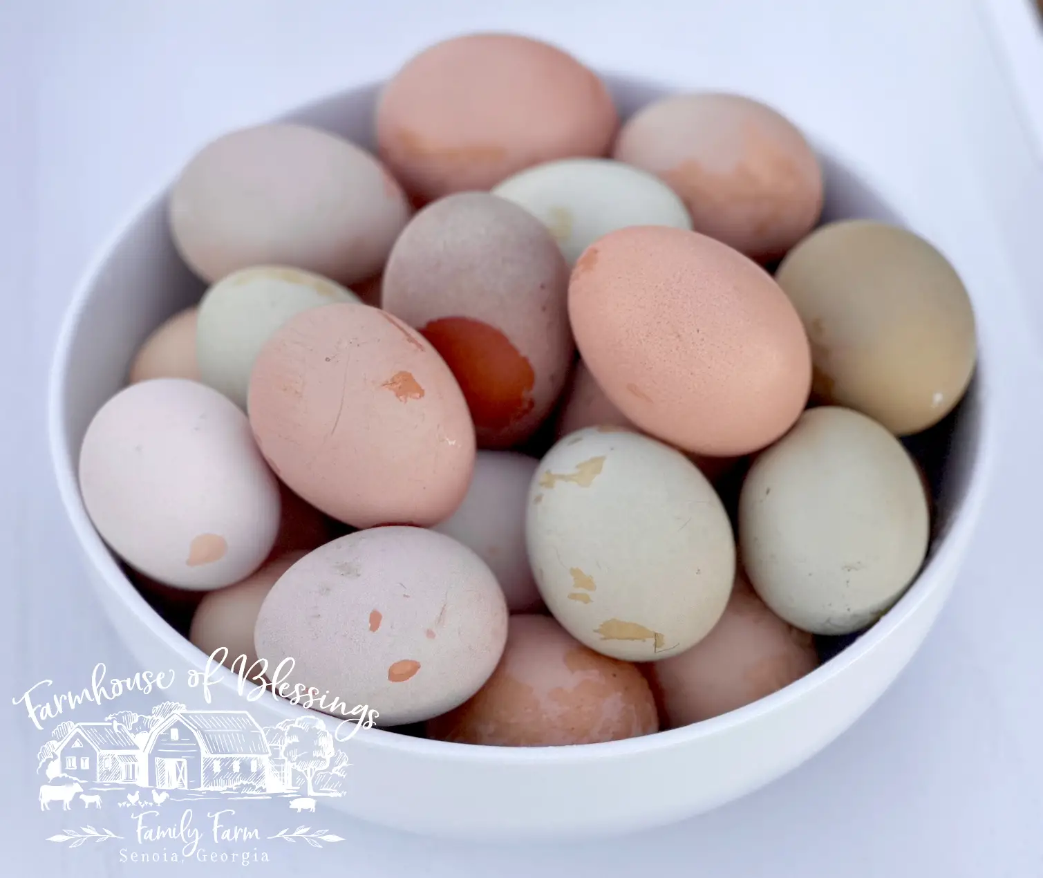 heavy bloom chicken eggs with water drips to show their various darker shell colors under the white bloom
