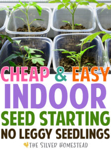easy indoor seed starting fast cheap backyard vegetable gardening for beginners 