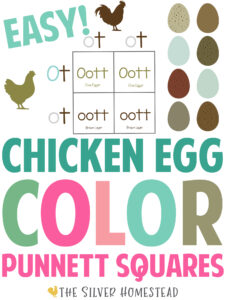 Egg Color Breeding Punnet Squares 