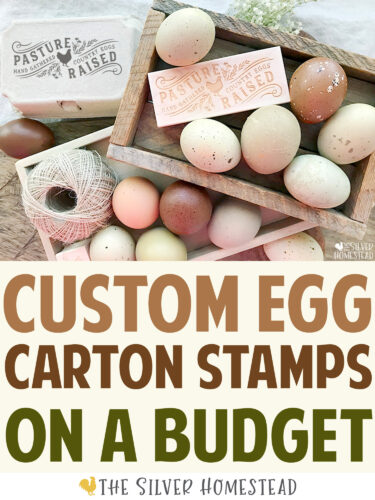 Stamped Egg Cartons on a Budget custom colored rainbow eggs carton sell local farm stand farmers market chicken income side hustle flock pay for itself laying hen chicken egg colors by breed make money cash honor box system roadside road side stall eating eggs pasture raised free range grass fed bugs seeds whole grain non-GMO feed please return clean carton hand gathered farm fresh