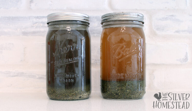 quart mason jar full of fertilizer tea