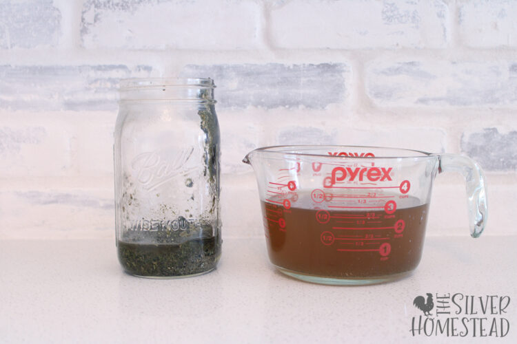 fertilizer tea strained into a glass measuring cup