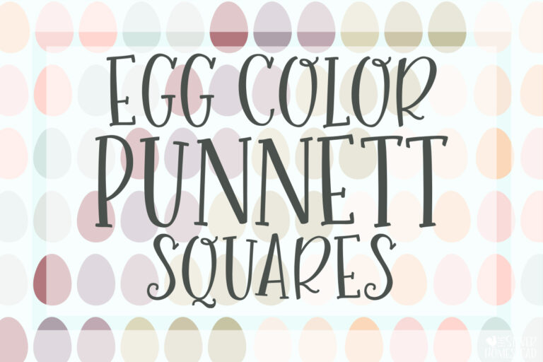 Egg Color Breeding Punnett Squares
