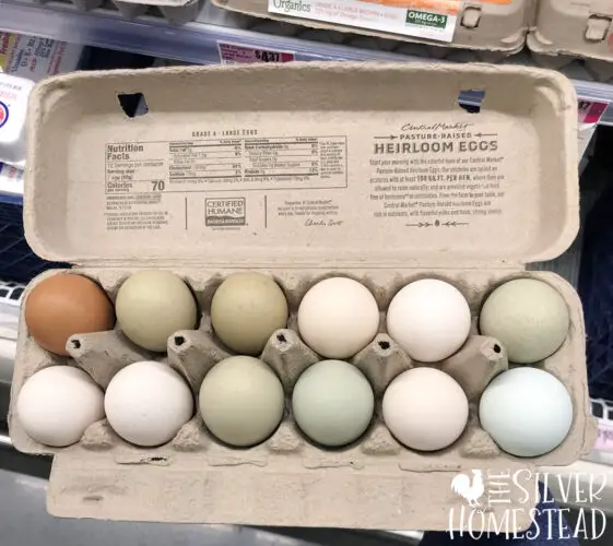 rainbow colored eating eggs in a carton at a grocery store with blue, cream and green eggs