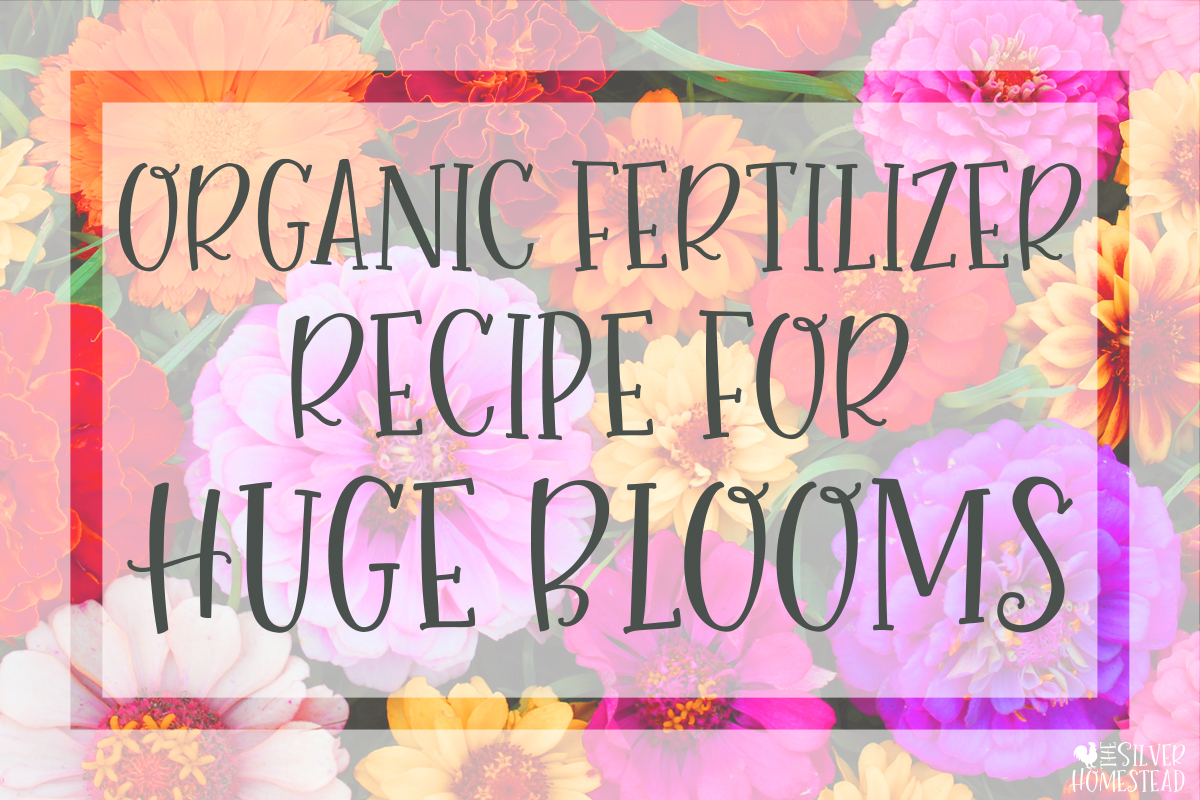 Secret Organic Fertilizer recipe Mix for Huge blooms flower flowers Garden Veggies 