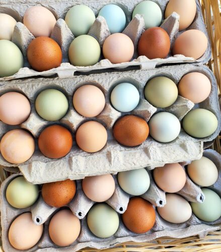 blue, green, peach, brown, and cream rainbow chicken eggs in cartons