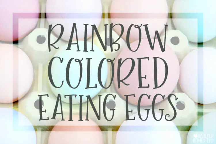 Selling Rainbow Colored Eating Eggs