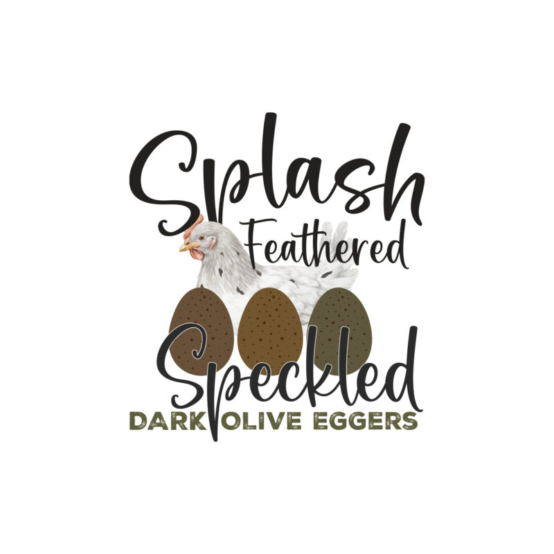 Breeding Splash Feathered Speckled Dark Olive Eggers - PDF