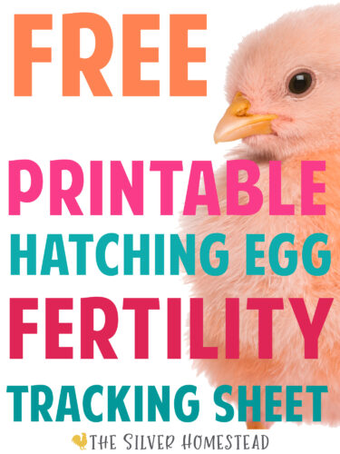 Hatching Egg & Hen Fertility Tracking Sheet Organize and Manage Chicken Breeding Pens 