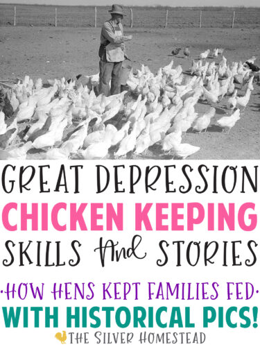 Great Depression Chicken Keeping backyard flock farm homestead farming homesteading raising egg layers laying lay hens