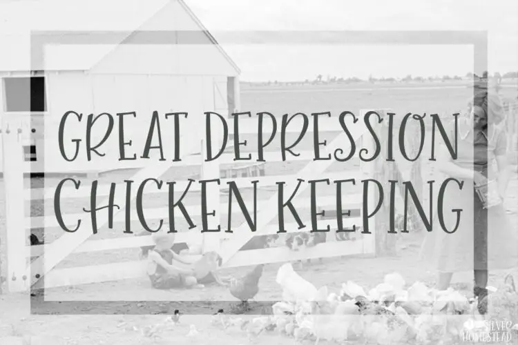 Great Depression Chicken Keeping backyard flock farm homestead farming homesteading raising egg layers laying laying hens 