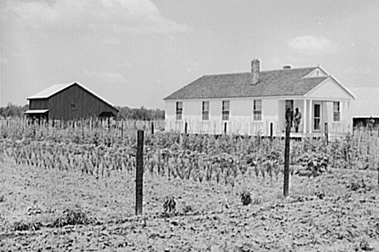 Great Depression Farm Stories