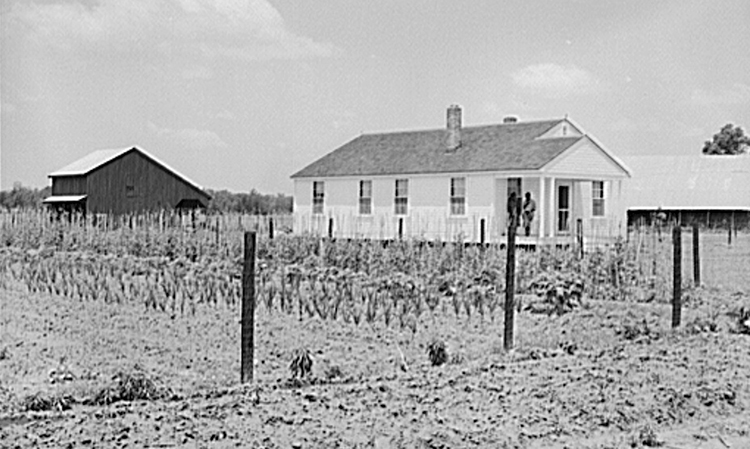 Great Depression photograph of a family garden on a farm