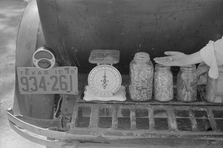 Great Depression black & white image of Garden seeds for sale on the luggage carrier of an automobile at a Great Depression farmer's market in Weatherford, Texas, 1939