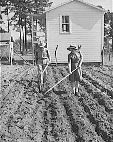 Great Depression Home Gardening Great Depression Farm Stories farming farmer victory garden gardening backyard food production chicken keeping coturnix quail fresh eggs sell selling sold garden produce vegetables veggies 1930s 1930 1931 1932 1933 1934 1935 1936 1937 1938 1939 1929 stock market crash recession starving going hungry unemployed help families grow your own food farmers market tales experience historical photographs old photos images pics black & white farmer crops fields field fruits orchard picking produce 