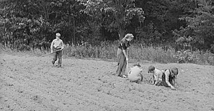 Great Depression black & white photo showing A woman and her children working to plant just-plowed garden rows in Door County, Wisconsin, 1939-1940