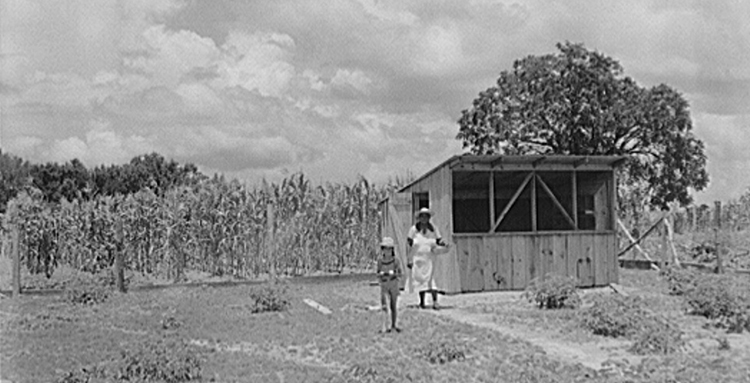 A woman and her daughter collect eggs from a classic hen house in 1930's era South Carolina.